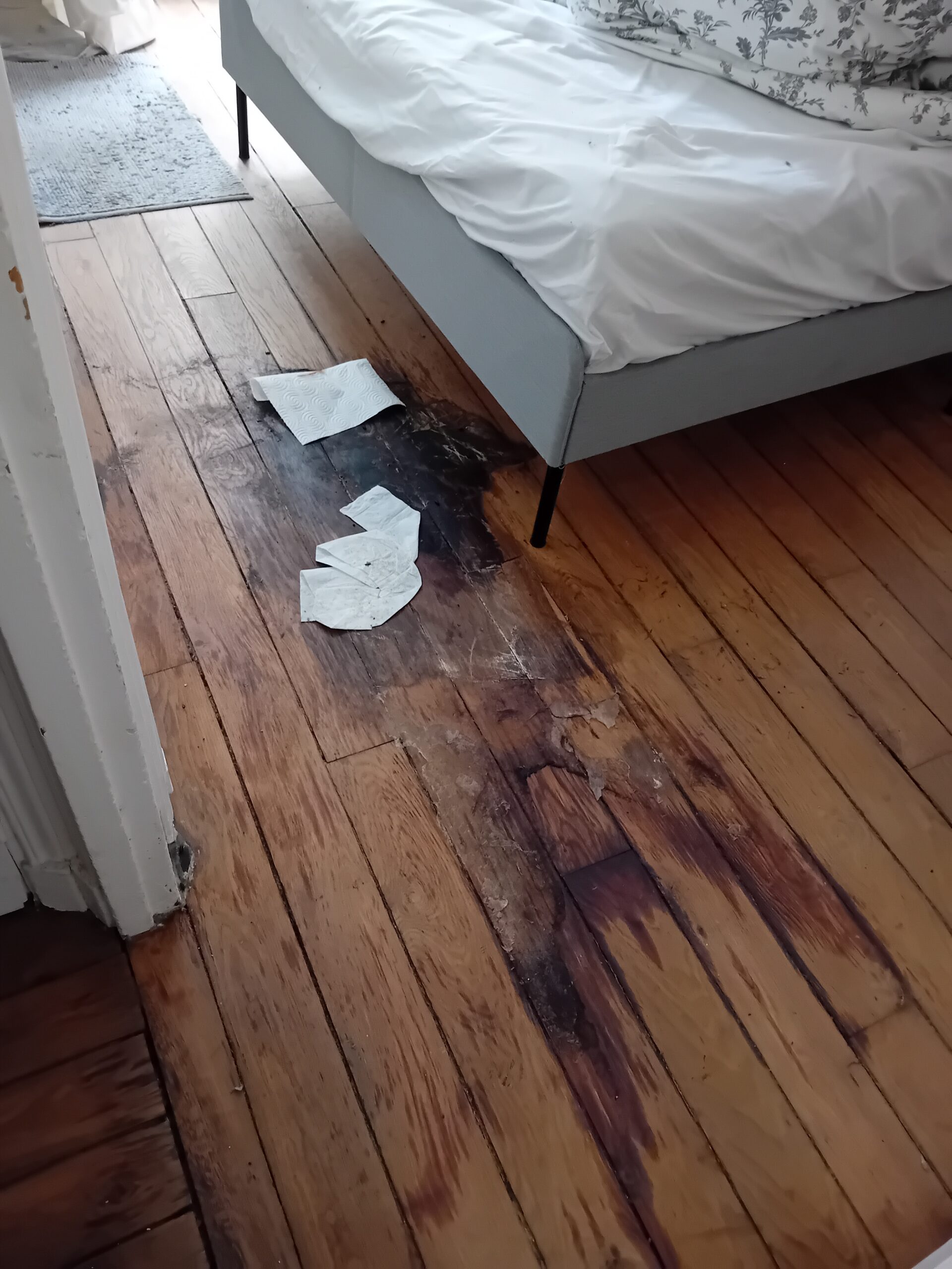 uelles sont les étapes principales du nettoyage post-mortem dans une habitation ?